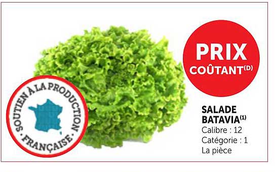 SALADE BATAVIA(1)