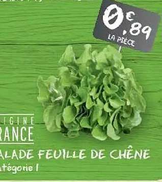 SALADE FEUILLE DE CHÊNE