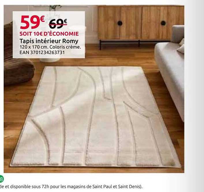 Tapis intérieur Romy