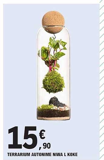 TERRARIUM AUTONIME NIWA L KOKE