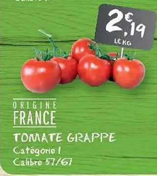 TOMATE GRAPPE