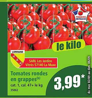Tomates rondes en grappes(b)