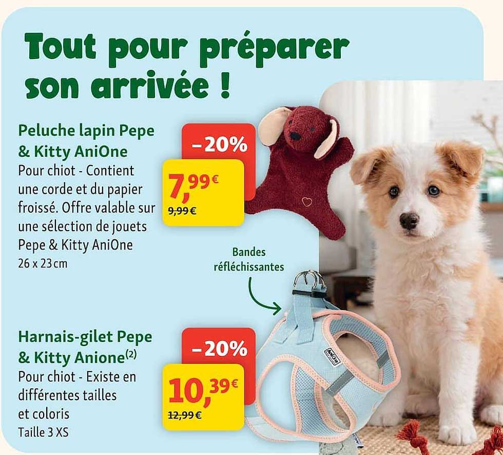 Tout pour préparer son arrivée !