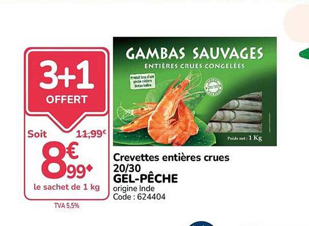 3+1 OFFERT
