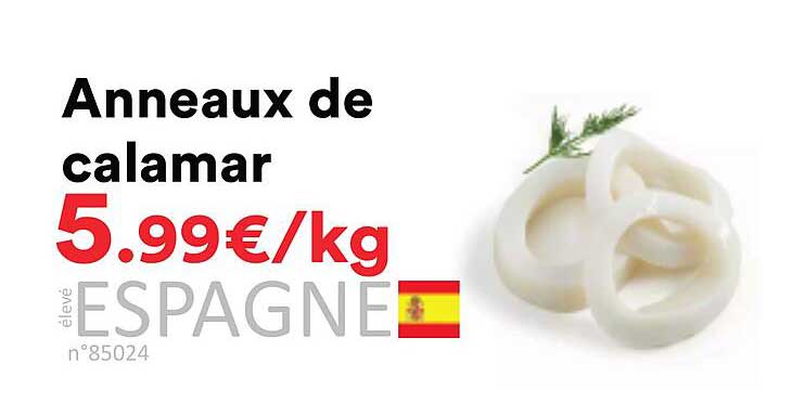 Anneaux de calamar