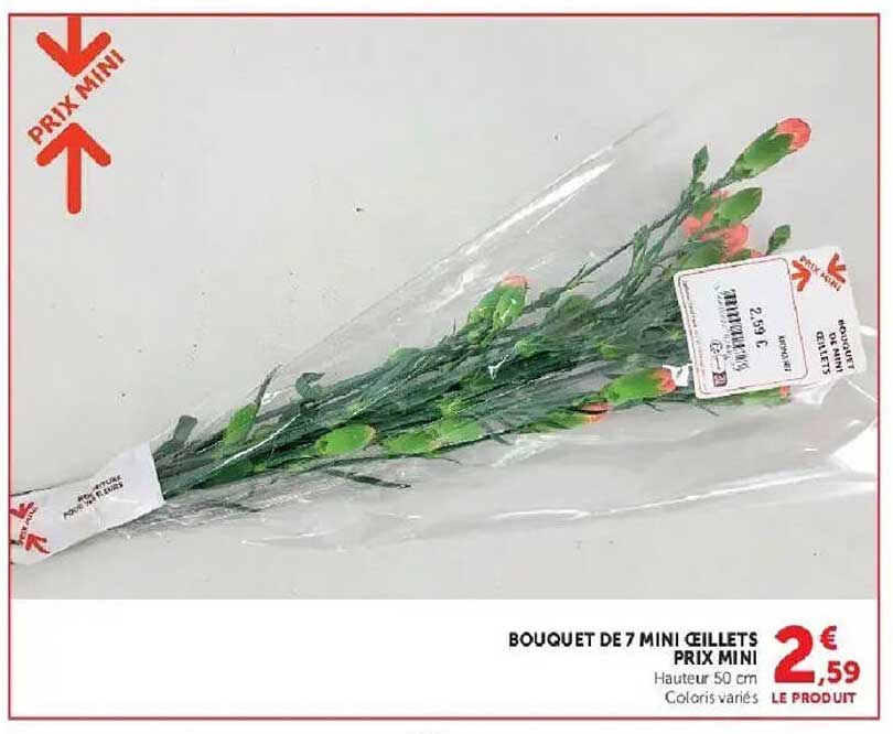 BOUQUET DE 7 MINI ŒILLETS PRIX MINI