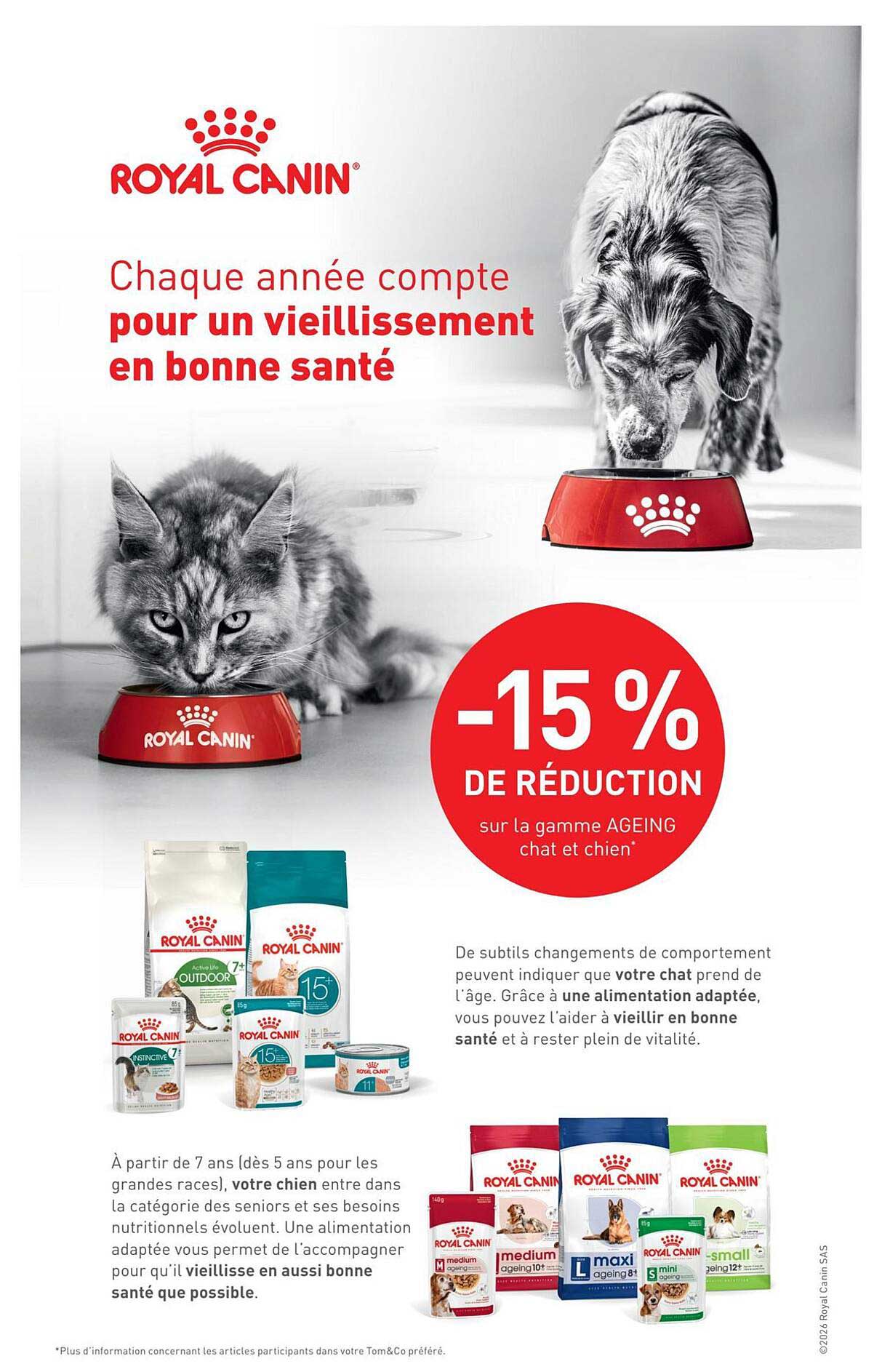 Chaque année compte pour un vieillissement en bonne santé