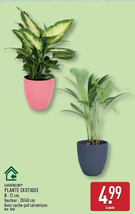 GARDENLINE® PLANTE EXOTIQUE