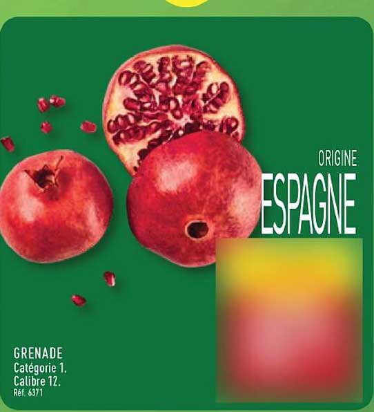GRENADE Catégorie 1. Calibre 12. Réf. 6371