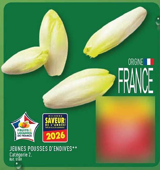 JEUNES POUSSES D'ENDIVES**