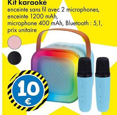 Kit karaoké enceinte sans fil avec 2 microphones, enceinte 1200 mAh, microphone 400 mAh, Bluetooth : 5,1, prix unitaire