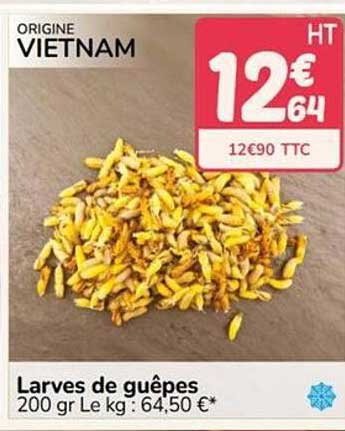 Larves de guêpes