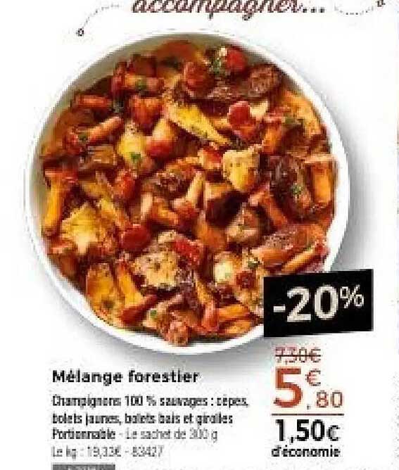 Mélange forestier