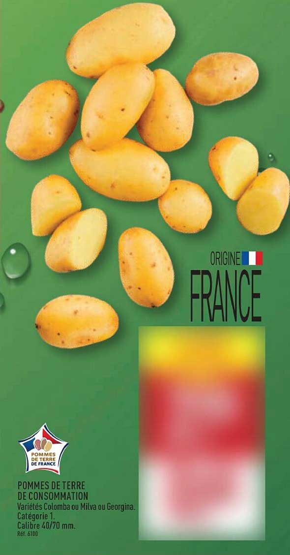 POMMES DE TERRE DE CONSOMMATION
