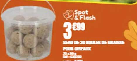 Spot & Flash