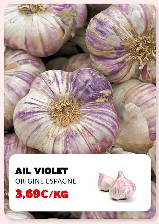 AIL VIOLET ORIGINE ESPAGNE