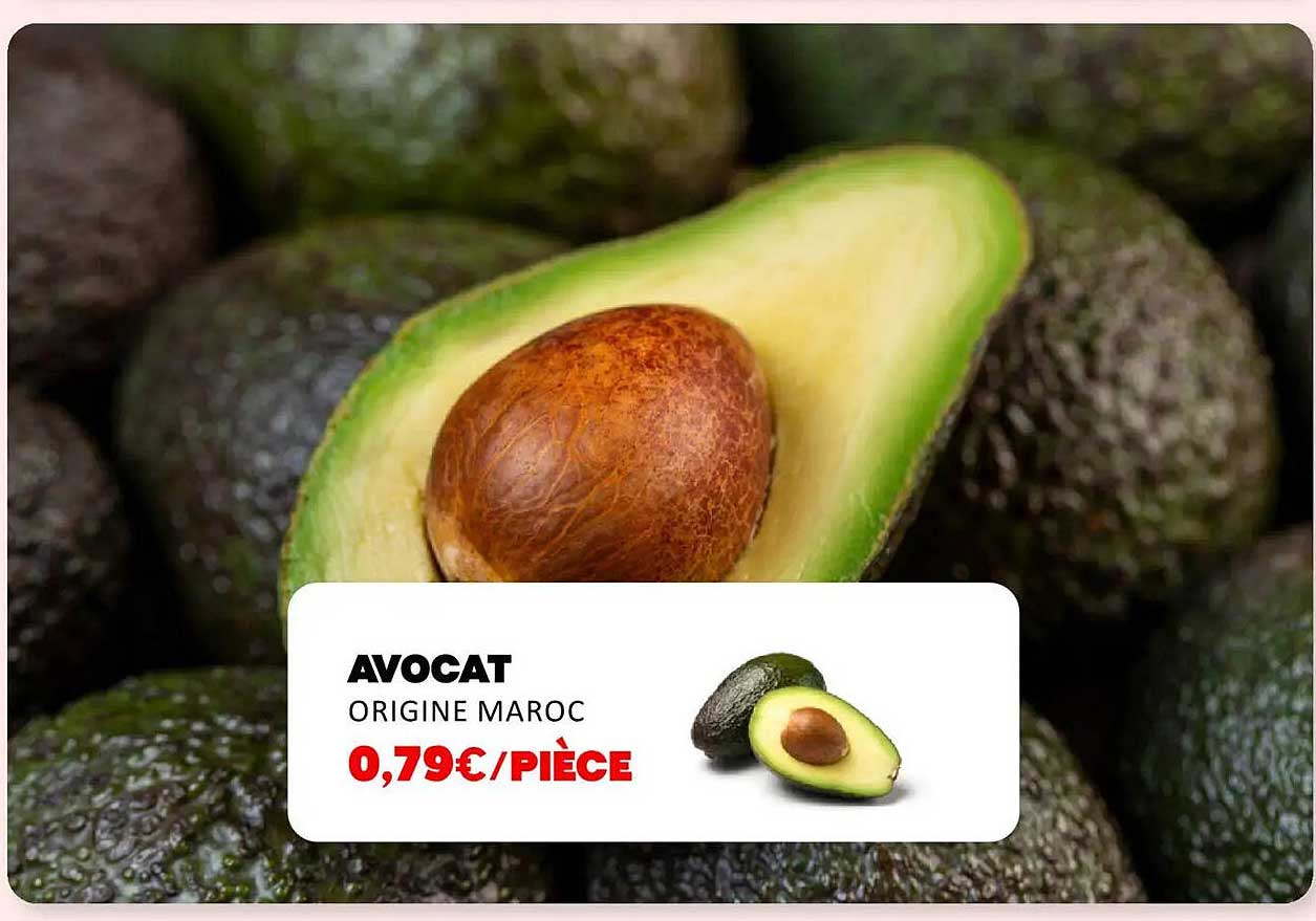AVOCAT ORIGINE MAROC