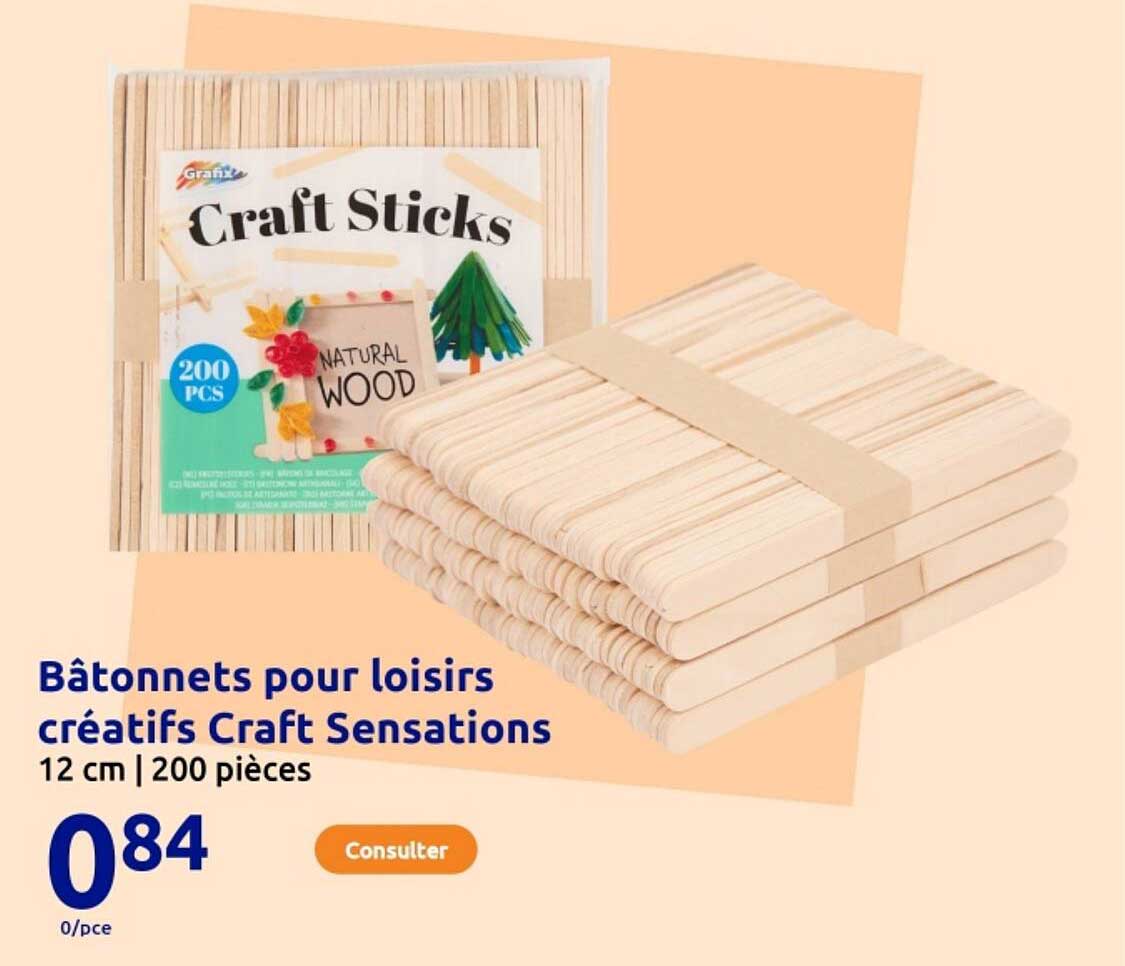 Bâtonnets pour loisirs créatifs Craft Sensations