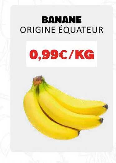 BANANE ORIGINE ÉQUATEUR