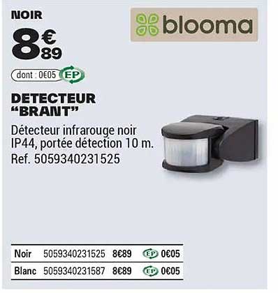 DETECTEUR "BRAINT"