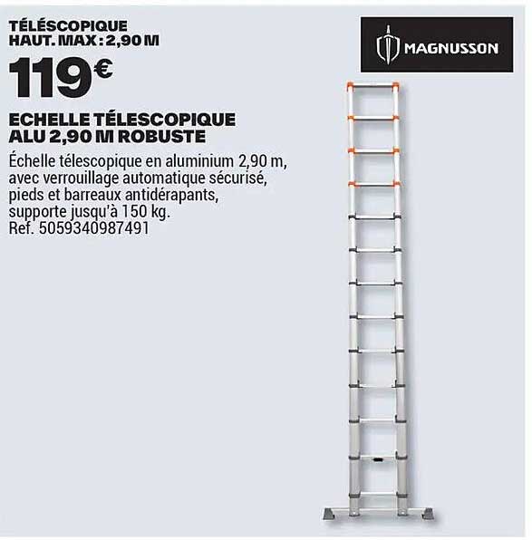 Echelle télescopique alu 2,90 m robuste