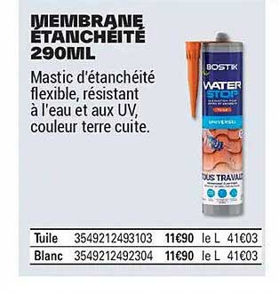 MEMBRANE ETANCHEITE 290ML