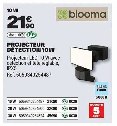PROJECTEUR DETECTION 10W