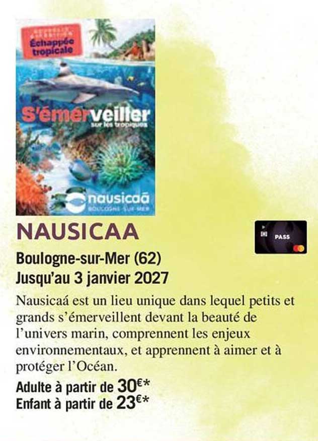 S'émerveiller sur les tropiques