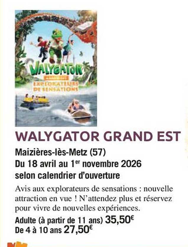 WALYGATOR GRAND EST