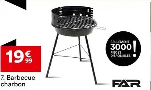 Barbecue charbon