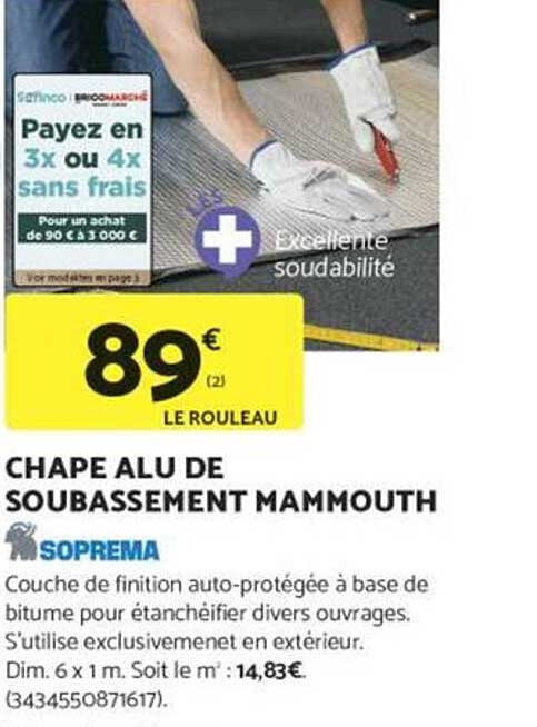 CHAPE ALU DE SOUBASSEMENT MAMMOUTH