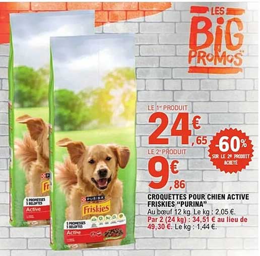CROQUETTES POUR CHIEN ACTIVE FRISKIES "PURINA"