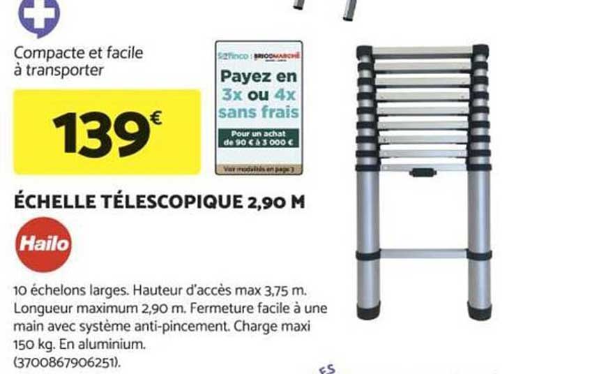 ÉCHELLE TÉLESCOPIQUE 2,90 M