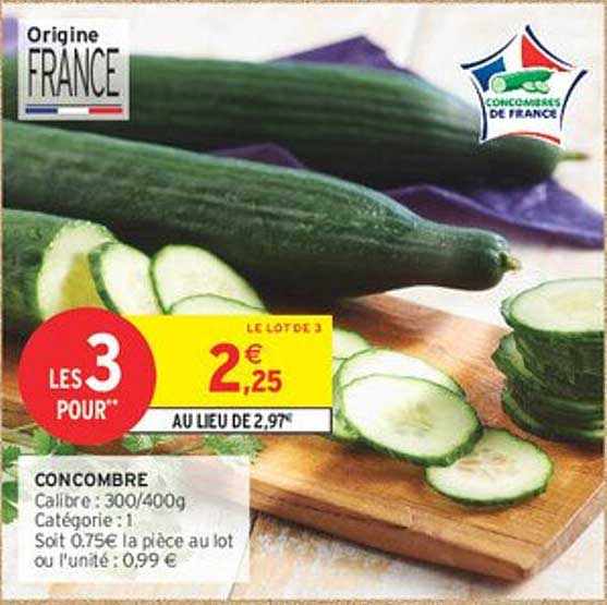 LE LOT DE 3 CONCOMBRES