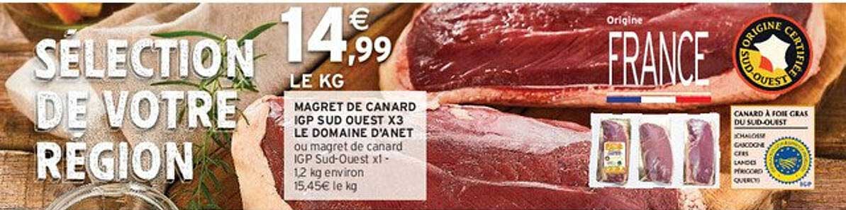 MAGRET DE CANARD IGP SUD OUEST X3 LE DOMAINE D’ANET