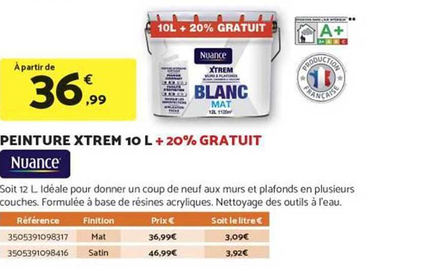 PEINTURE XTREM 10 L + 20% GRATUIT