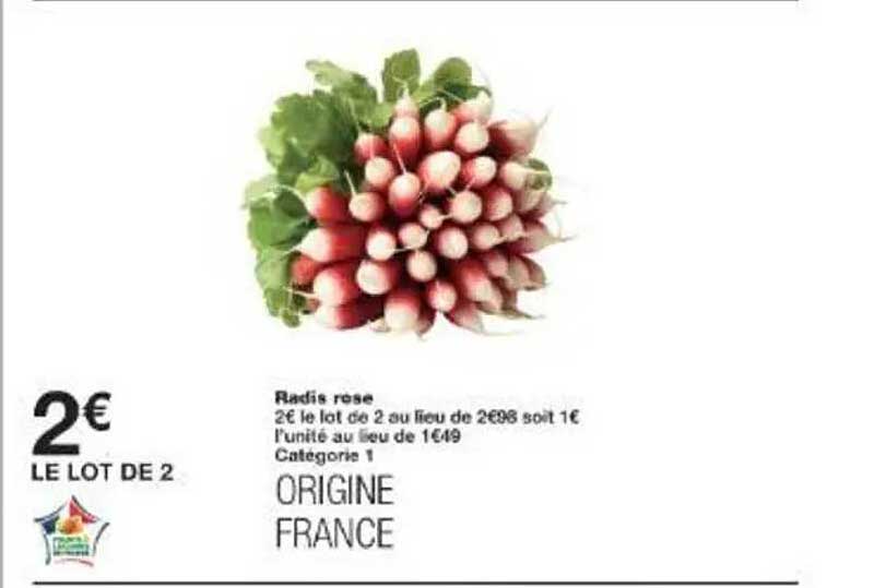 Radis rose