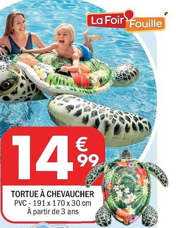 TORTUE À CHEVAUCHER