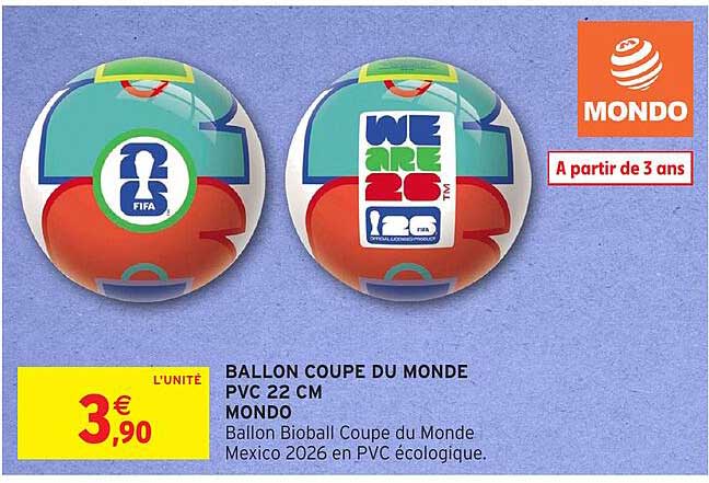 BALLON COUPE DU MONDE PVC 22 CM MONDO