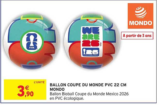 BALLON COUPE DU MONDE PVC 22 CM MONDO