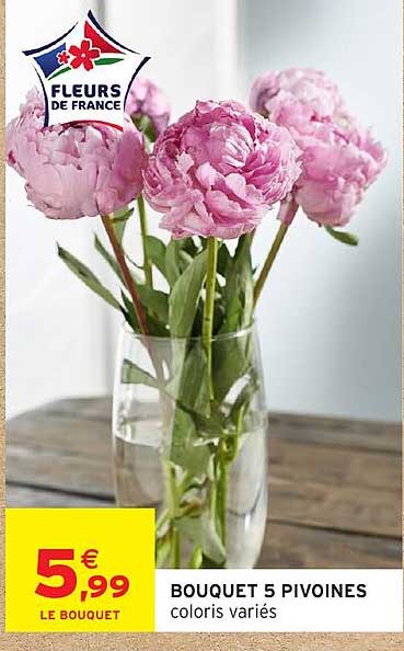 BOUQUET 5 PIVOINES