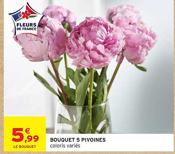 BOUQUET 5 PIVOINES