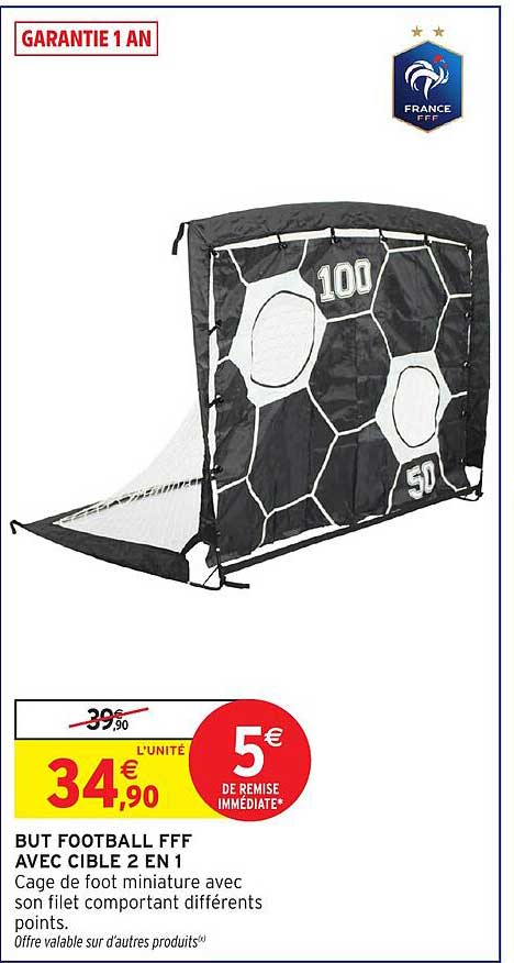 BUT FOOTBALL FFF AVEC CIBLE 2 EN 1
