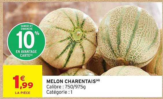MELON CHARENTAIS