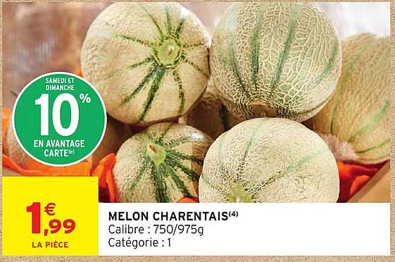 MELON CHARENTAIS(4)