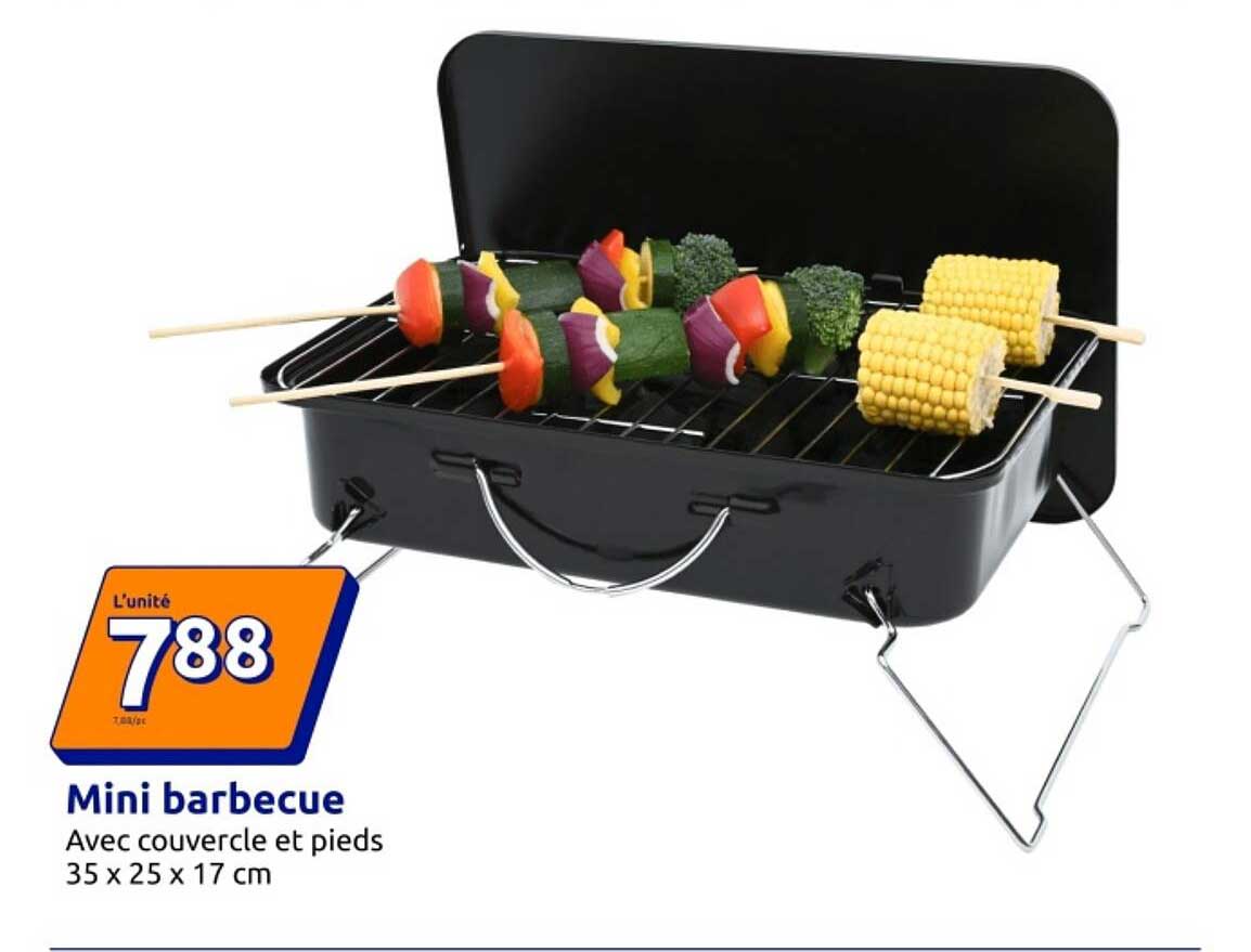 Mini barbecue