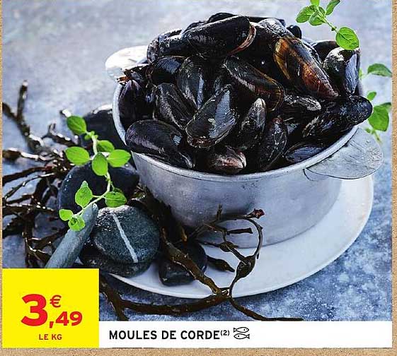 MOULES DE CORDE(2)
