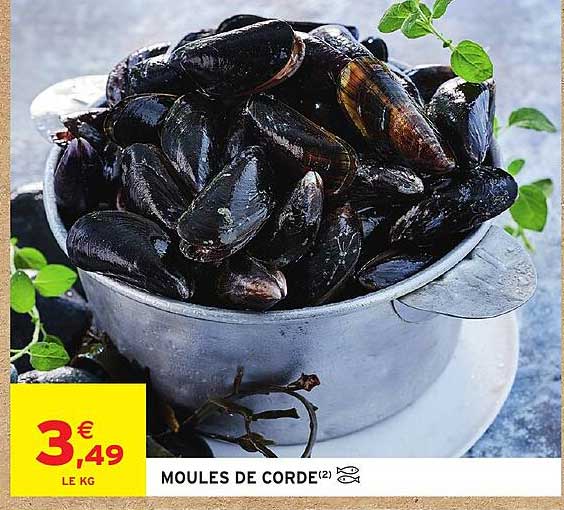 MOULES DE CORDE(2)