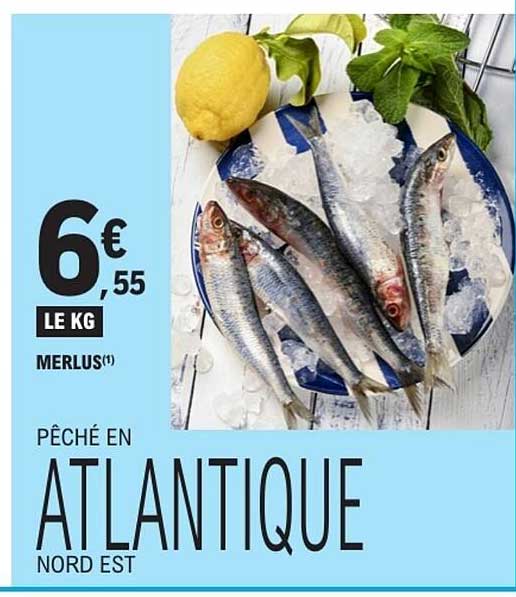 PÊCHÉ EN ATLANTIQUE NORD EST MERLUS(1)