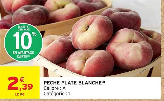 PECHE PLATE BLANCHE(1)